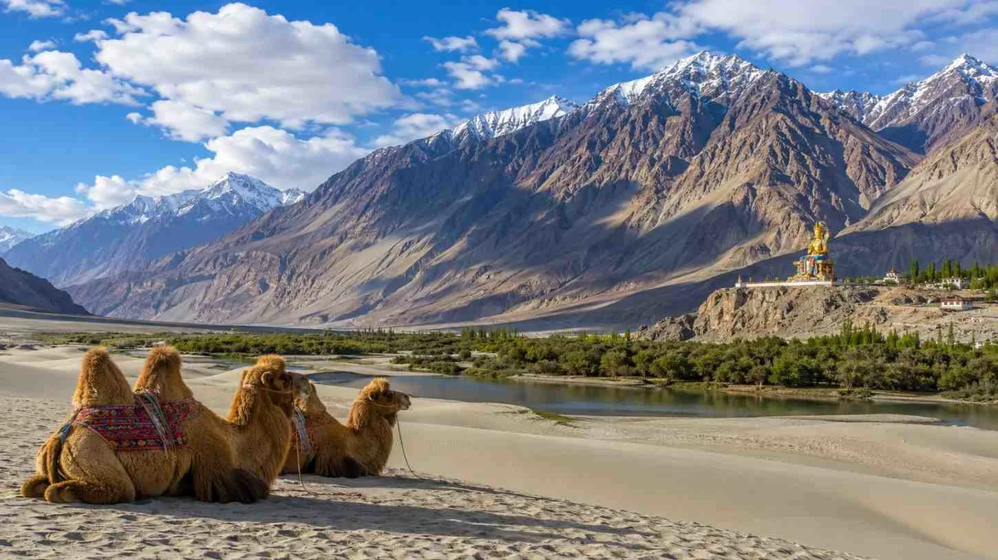 Nubra Valley Travel Guide: Sand Dunes & Double-Humped Camels 