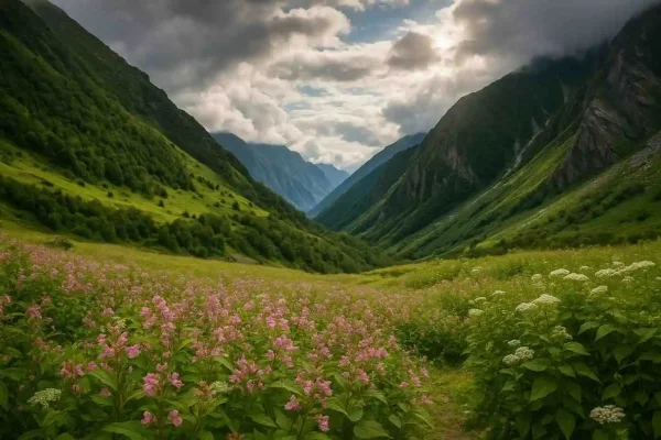  Valley of Flowers National Park Uttarakhand