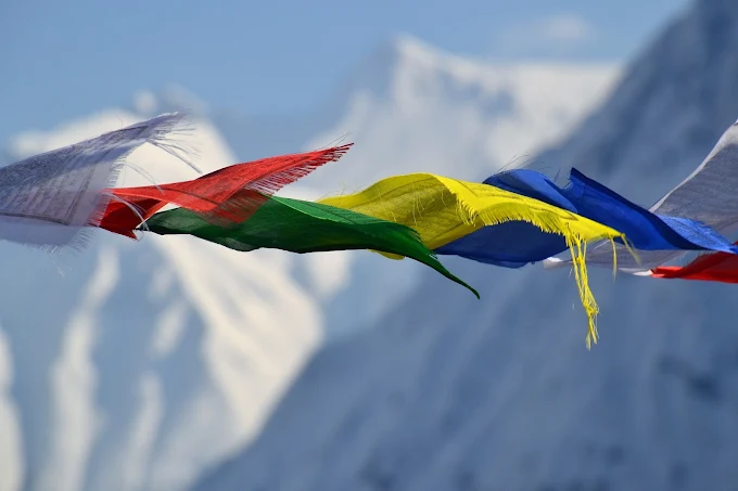 Himalaya Tours & Travels surroundings