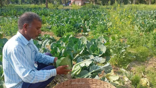 Katoch Organic Farm