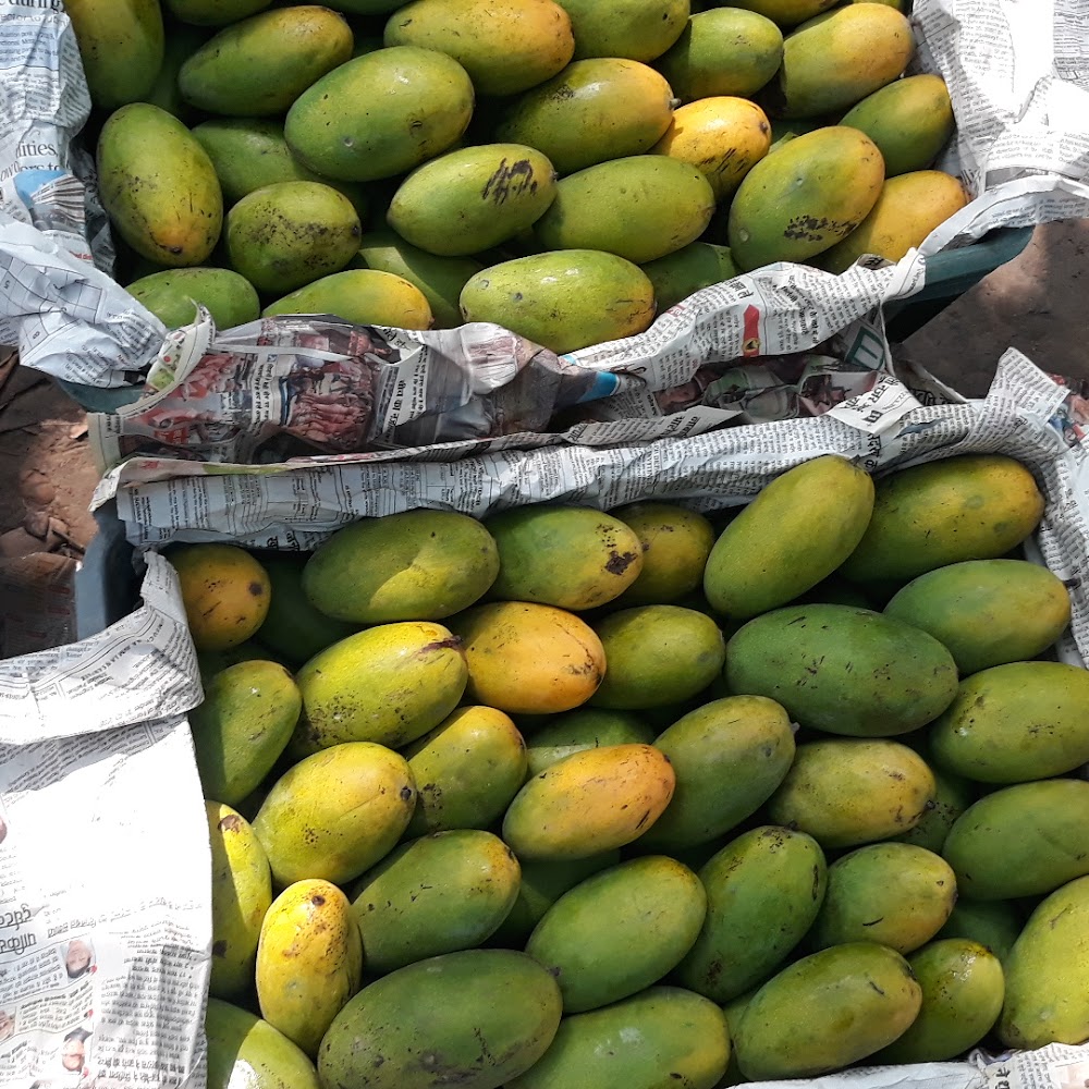 Katoch Organic Farm