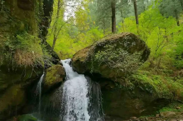 Jana Waterfall, Manali: A Hidden Gem in Himachal You Shouldn’t Miss