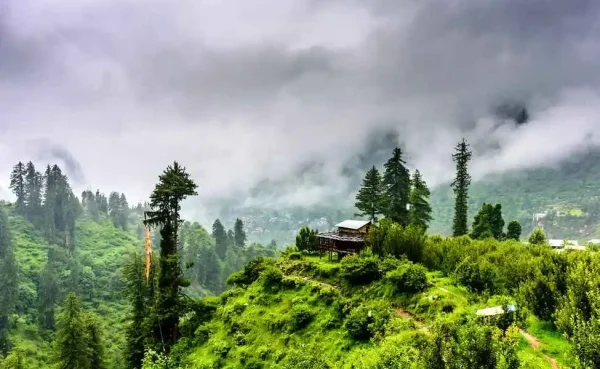 Gilbert Trail, Kasauli – Himachal Pradesh