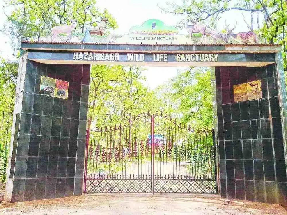 Hazaribagh – Forests, Lakes and Wildlife