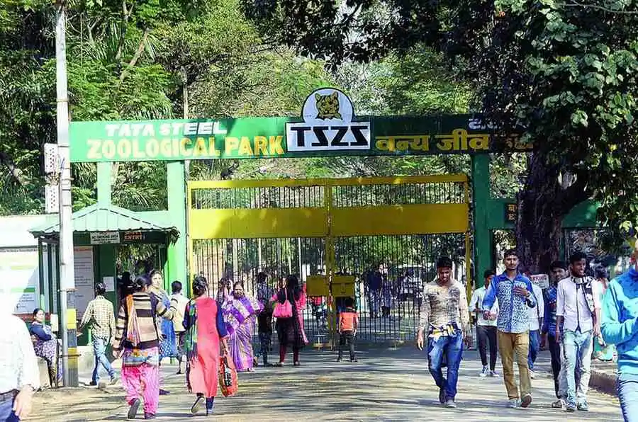 Jamshedpur – The Steel City with Green Spaces