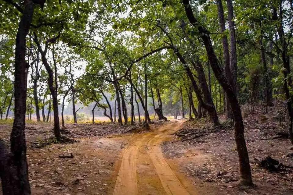Kanha National Park