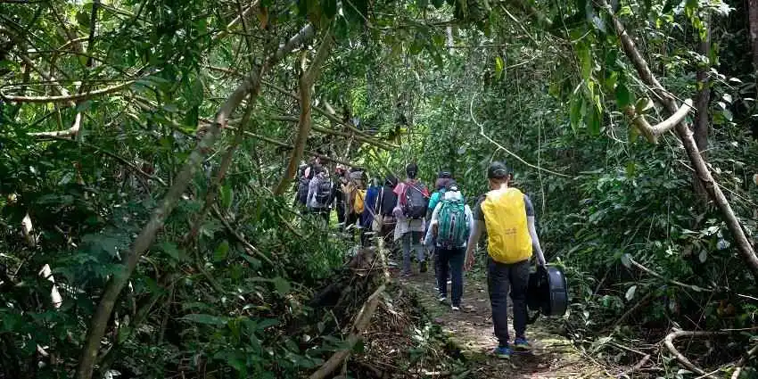 Namdapha National Park