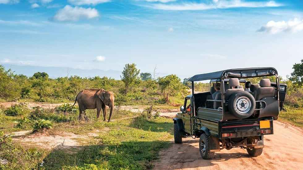 Satpura National Park