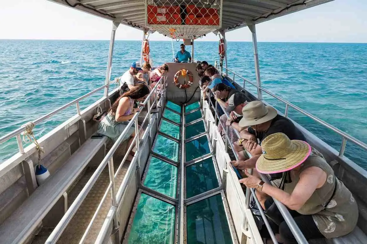 Best Months for Scuba Diving in Lakshadweep