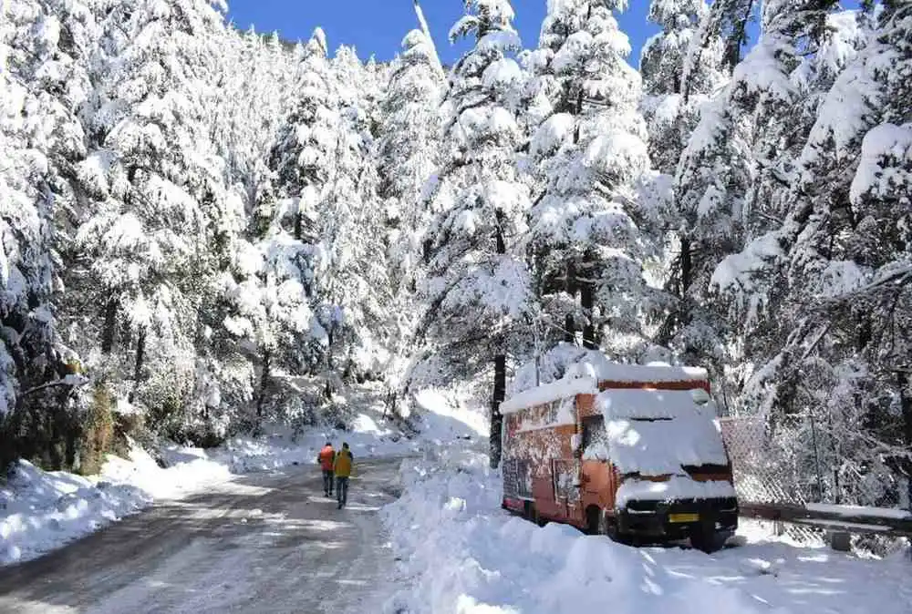 Snowfall in Kufri