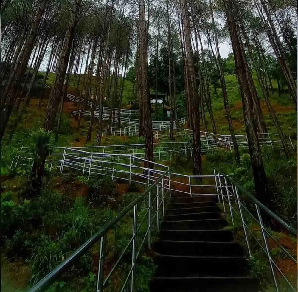 Manki Point Stairs and Trek Difficulty