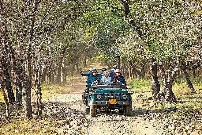 Tadoba National Park