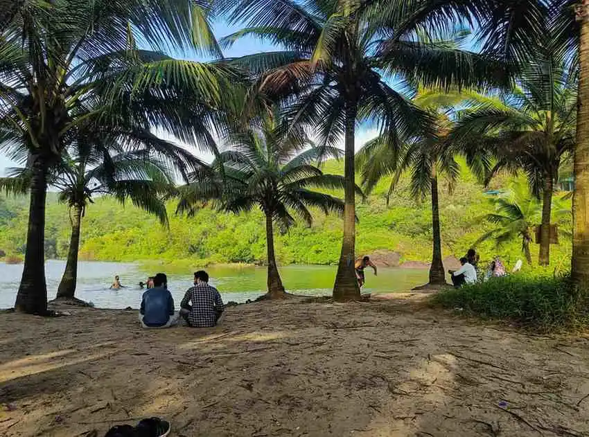 Things to Do at Arambol Beach