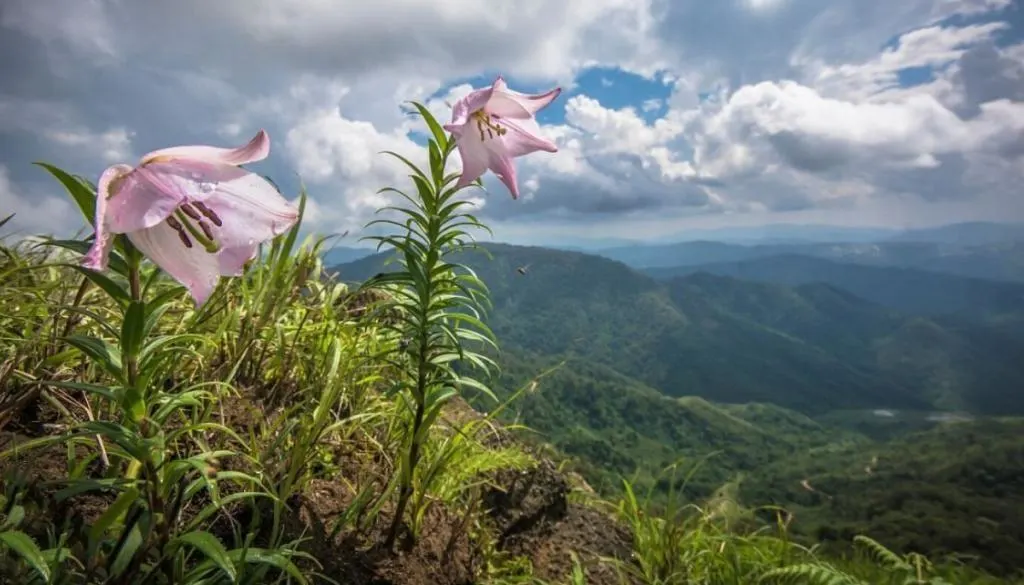 Ukhrul