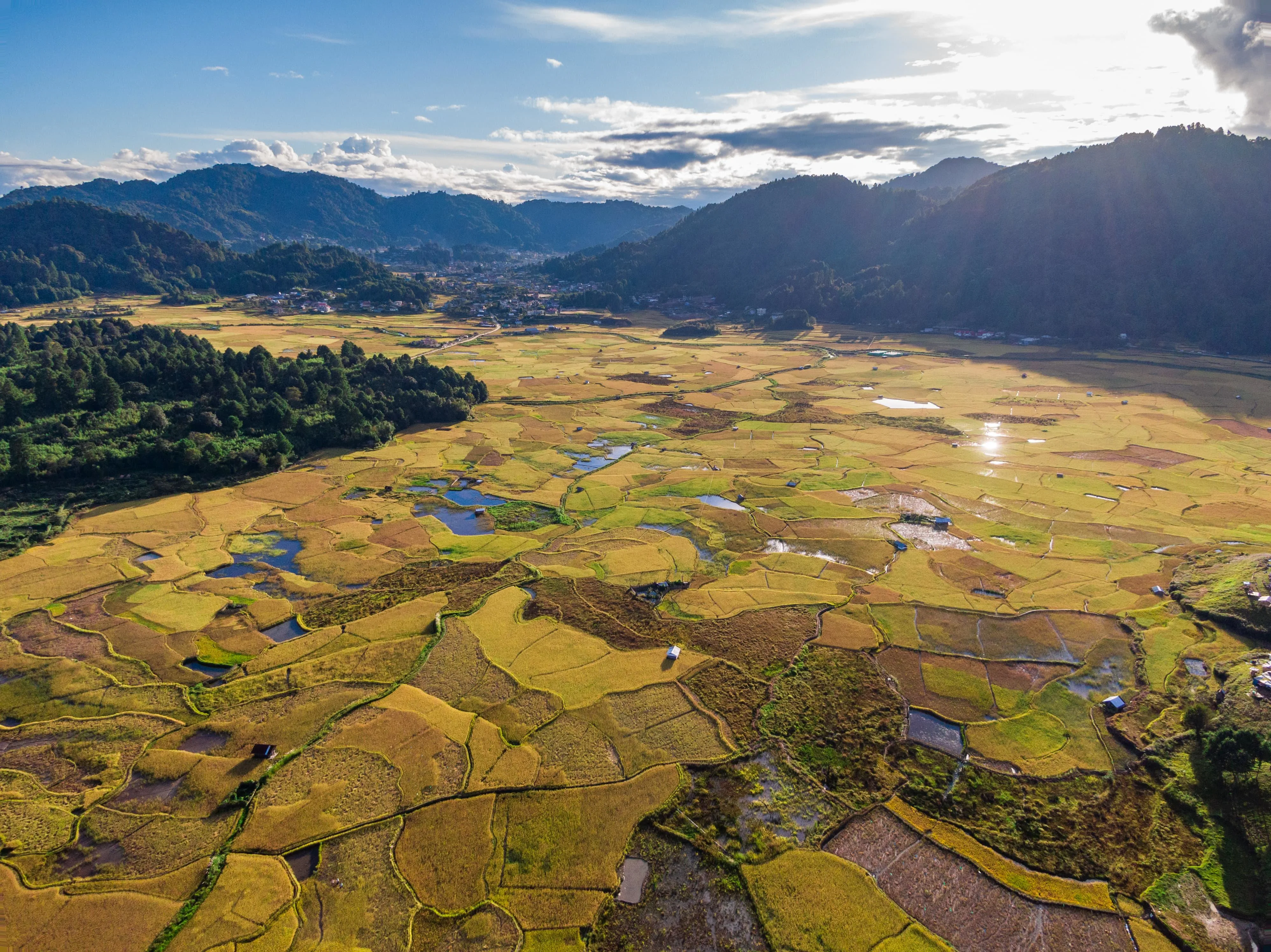 Ziro Valley