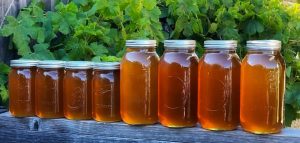 HOMEMADE HONEY