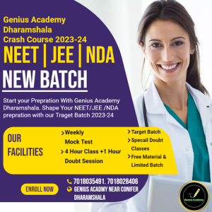 Genius Academy