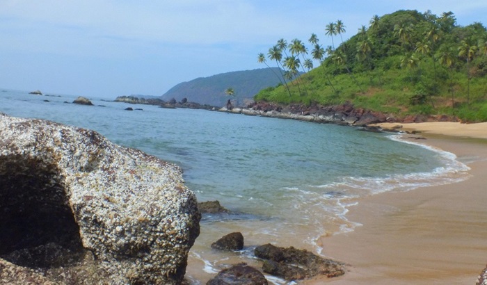  Agonda Beach