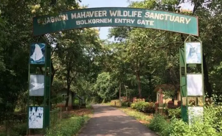  Bhagwan Mahavir Wildlife Sanctuary