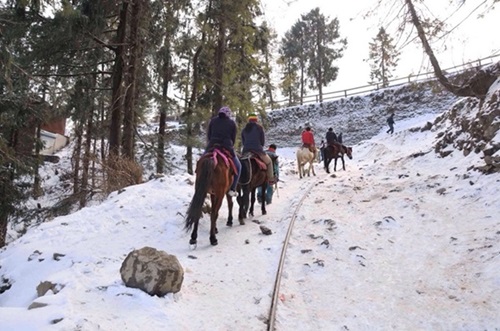 Narkanda snowfall