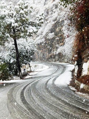 Snowfall in Shimla