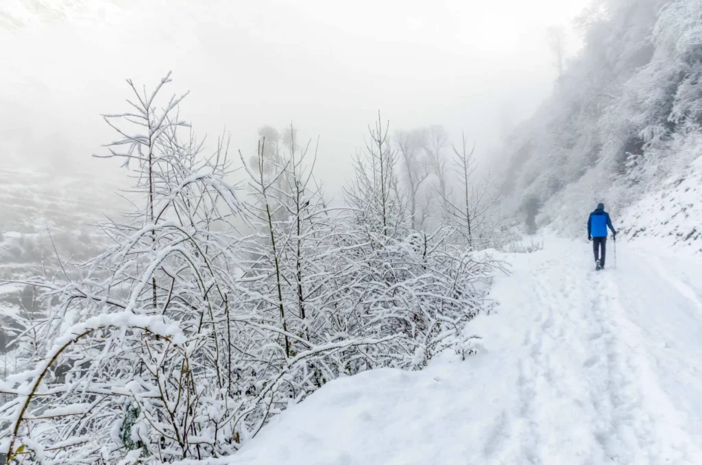 Tirthan Valley Snowfall