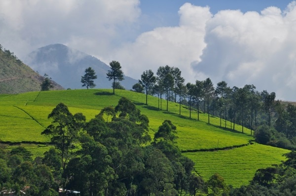 Wayanad # Top tourist place in Kerala