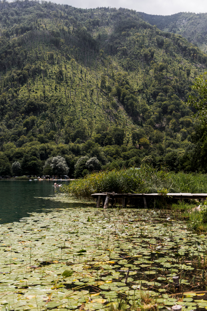 Coot Lake