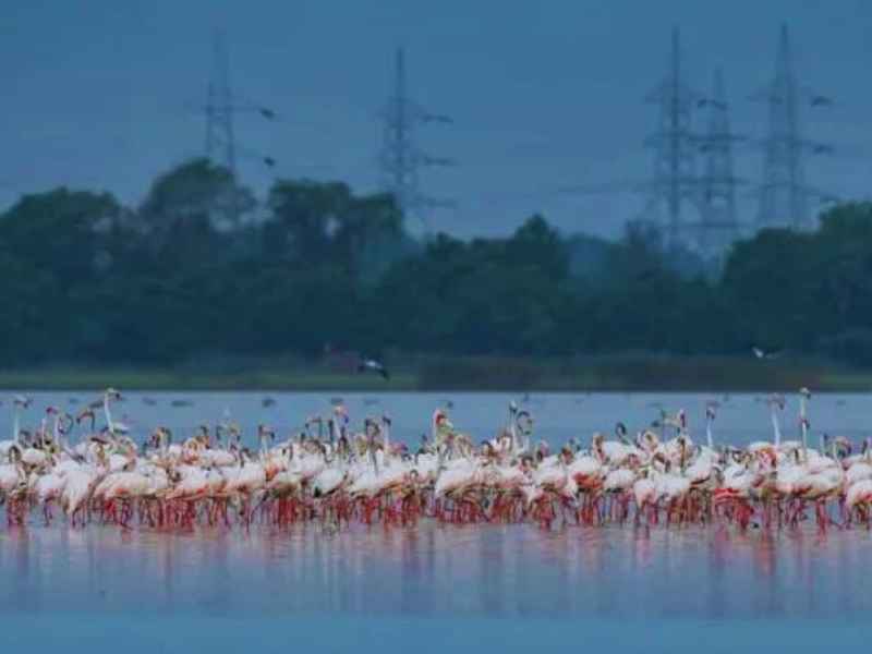 Ousteri Lake