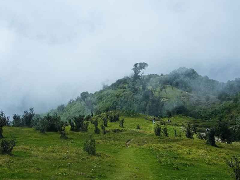 Singalila National Park