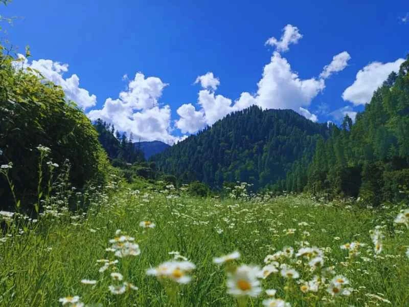 Great Himalayan National Park