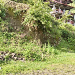 Mehli-Shimla