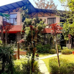 Oxygen Homestay