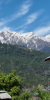 Upper-Dari