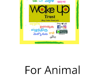 Wakeup-NGO