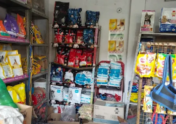 dehradun-pet