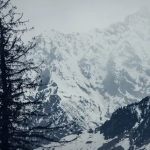 Manali-Paragliding