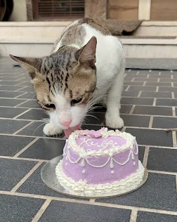 Pawtisseries