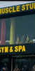 The-MuscleStudio