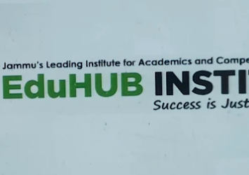 Hub-Institute