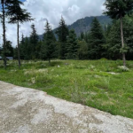 Manali-4