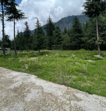 Manali-4