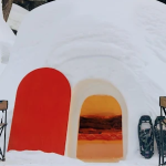 Manali-Igloo