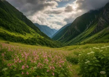 Valley-of-Flowers-National-Park-Uttarakhand