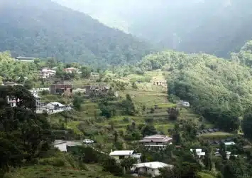 Pangot-–-A-Bird-Watchers