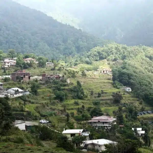 Pangot-–-A-Bird-Watchers