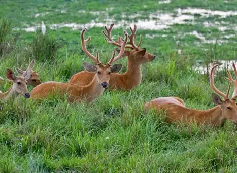 Valleys & Scenic Spots 