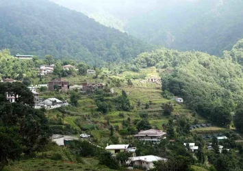 Pangot – A Bird Watcher’s Paradise in Uttarakhand