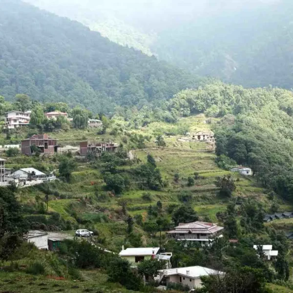 Pangot – A Bird Watcher’s Paradise in Uttarakhand