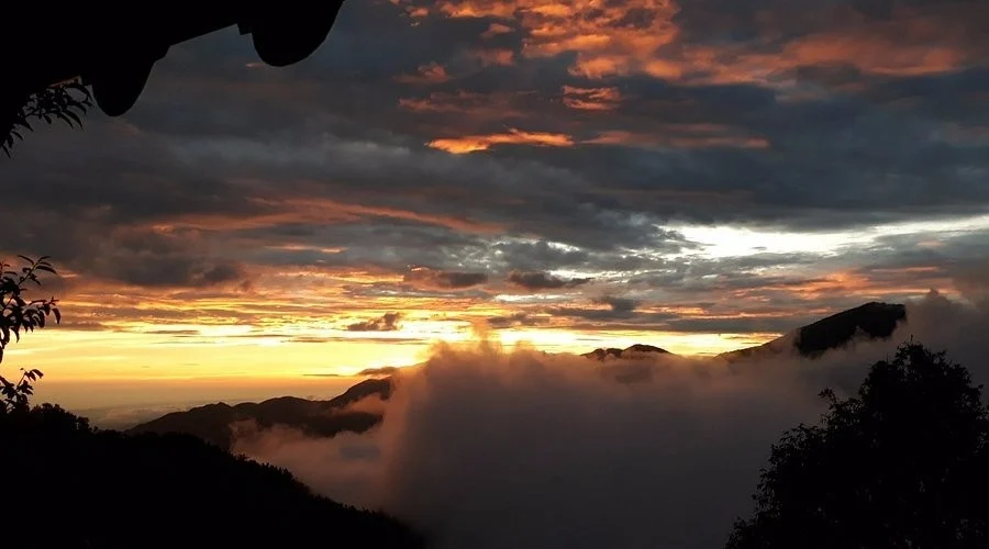 Bird Watching & Scenic Spots